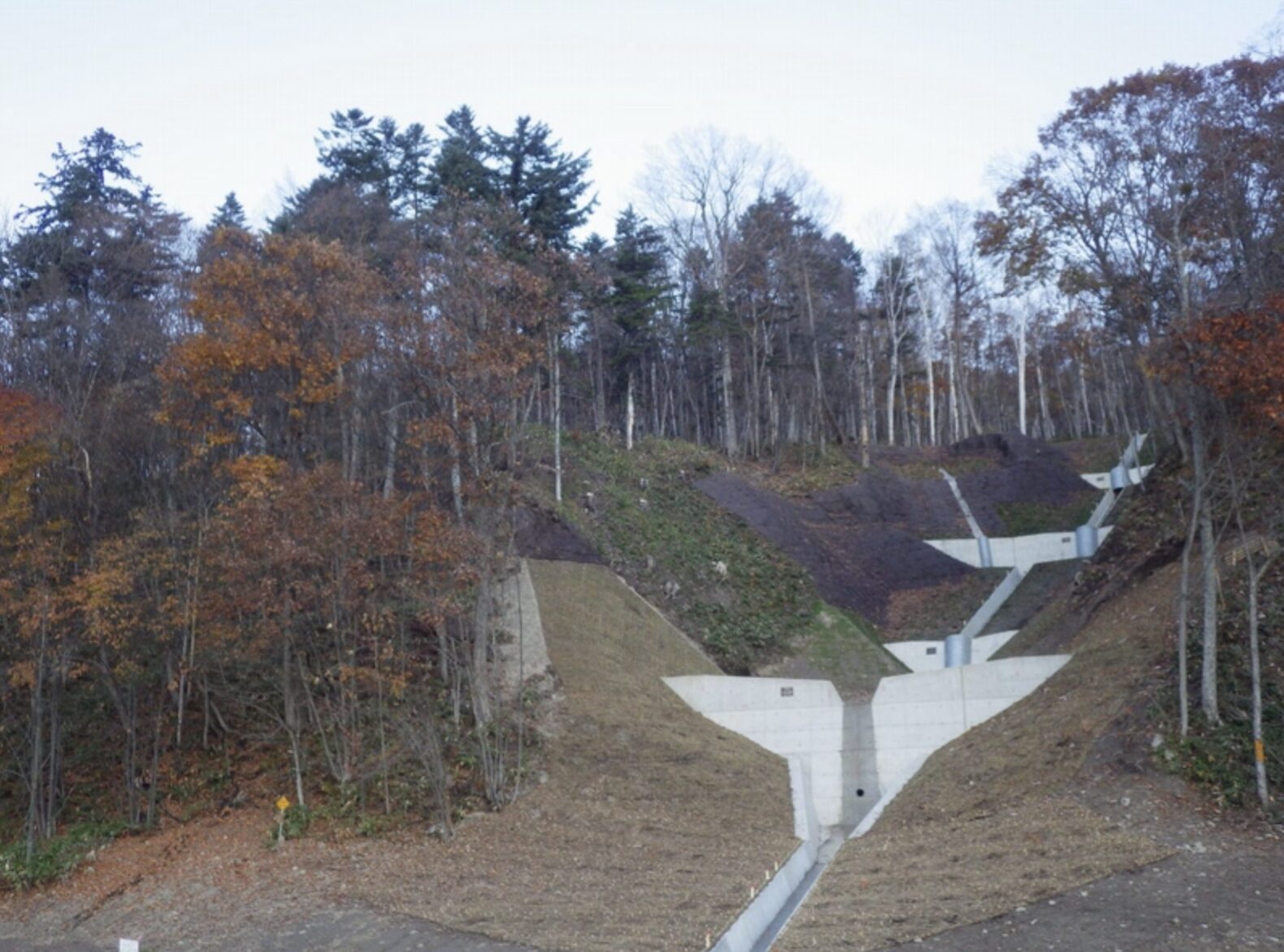 ノザワ地先　予防治山工事その４【治山】