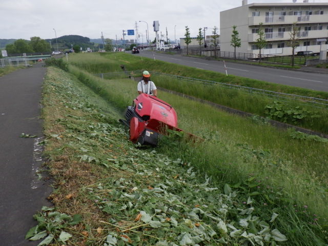 河川維持工事（夏の草刈り等）